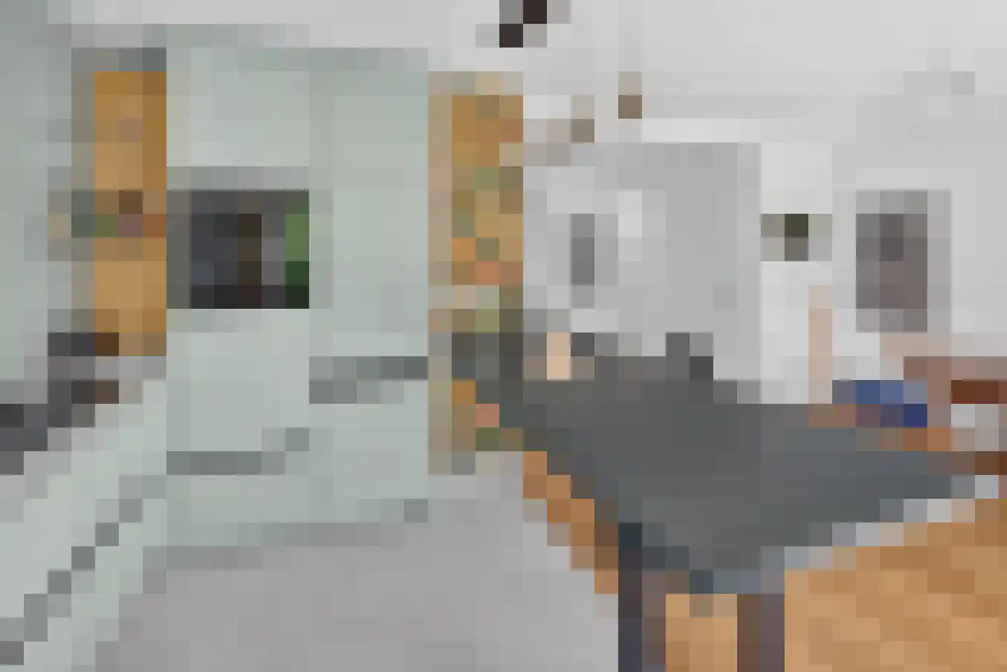 Mariniersweg 83 Oude-Tonge thumbnail 18