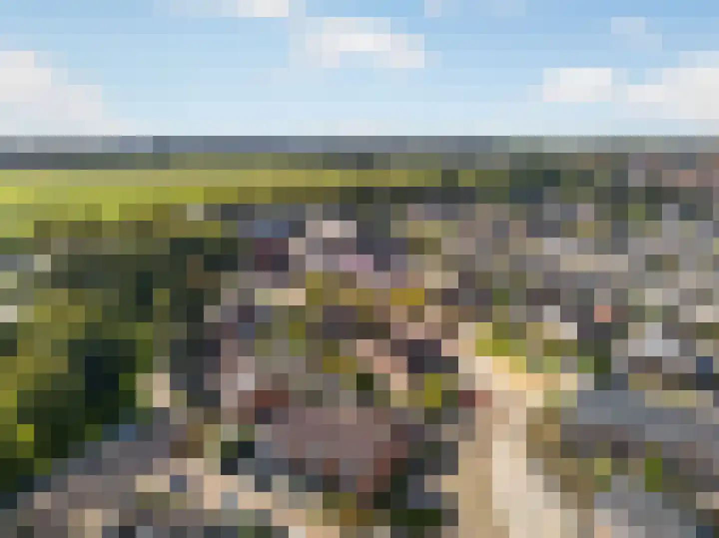 Mariniersweg 83 Oude-Tonge thumbnail 32