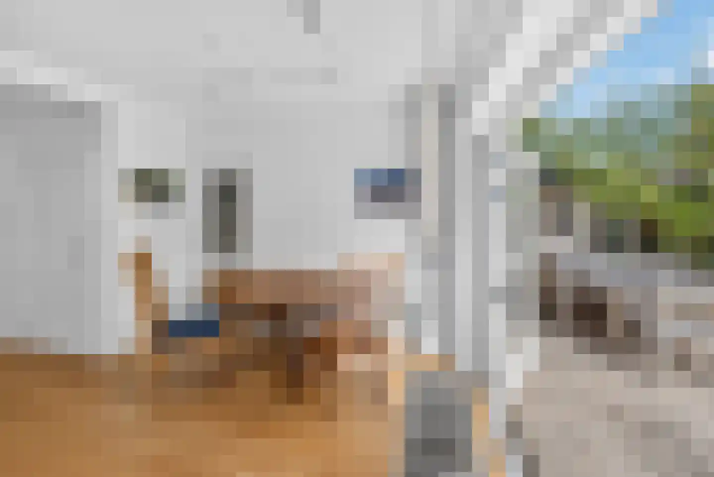 Mariniersweg 83 Oude-Tonge thumbnail 9