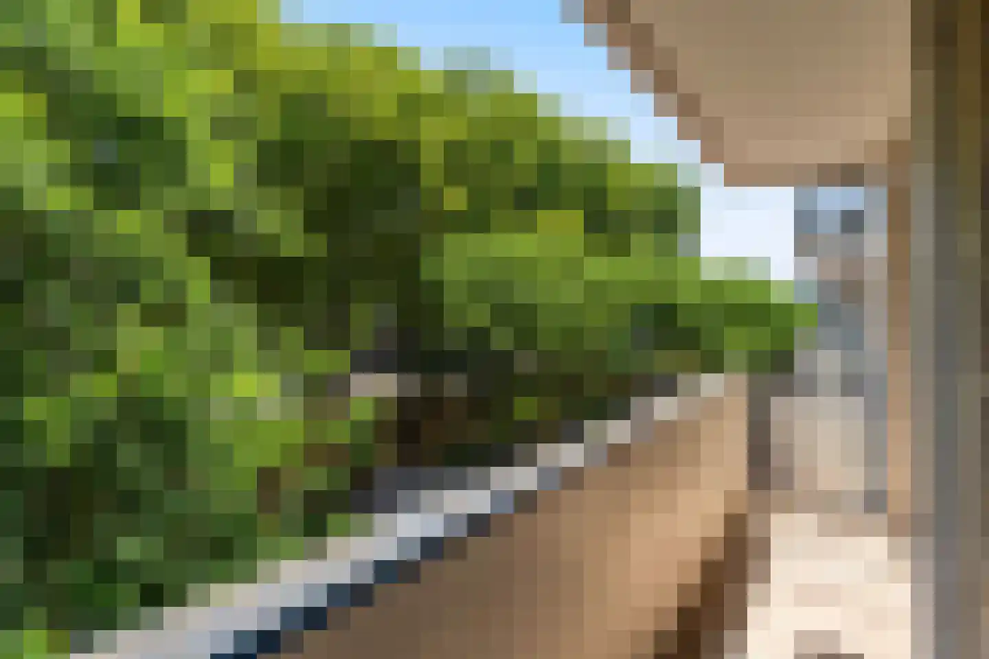 Mariniersweg 85 Rotterdam thumbnail 10