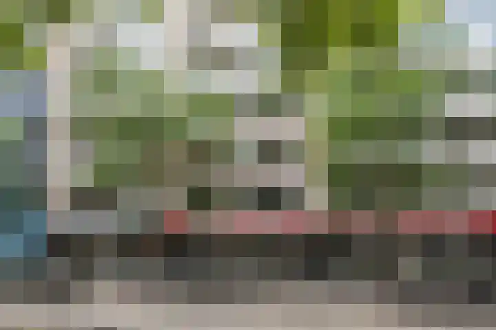 Mariniersweg 87 Rotterdam thumbnail 6
