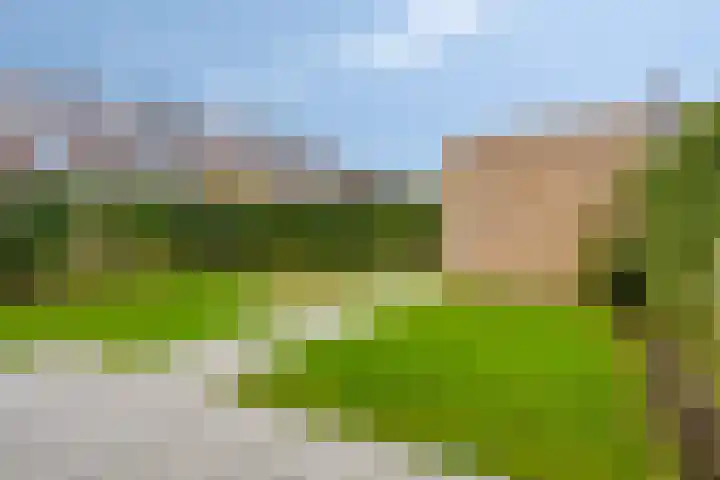 Mariniersweg 90 Oude-Tonge thumbnail 24