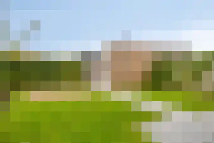 Mariniersweg 90 Oude-Tonge thumbnail 25