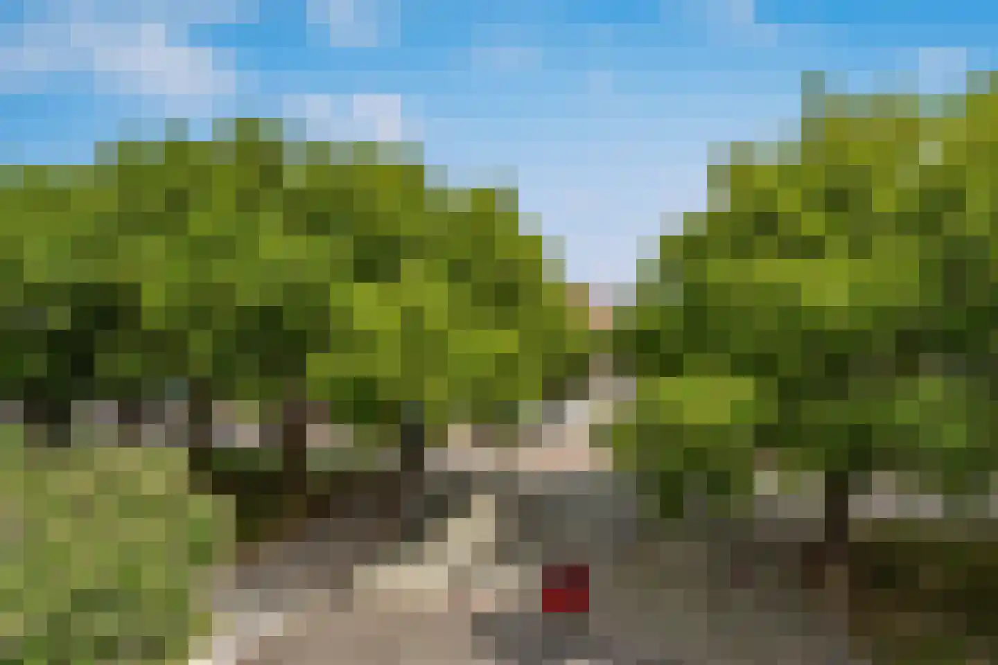 Mariniersweg 93 Rotterdam thumbnail 11