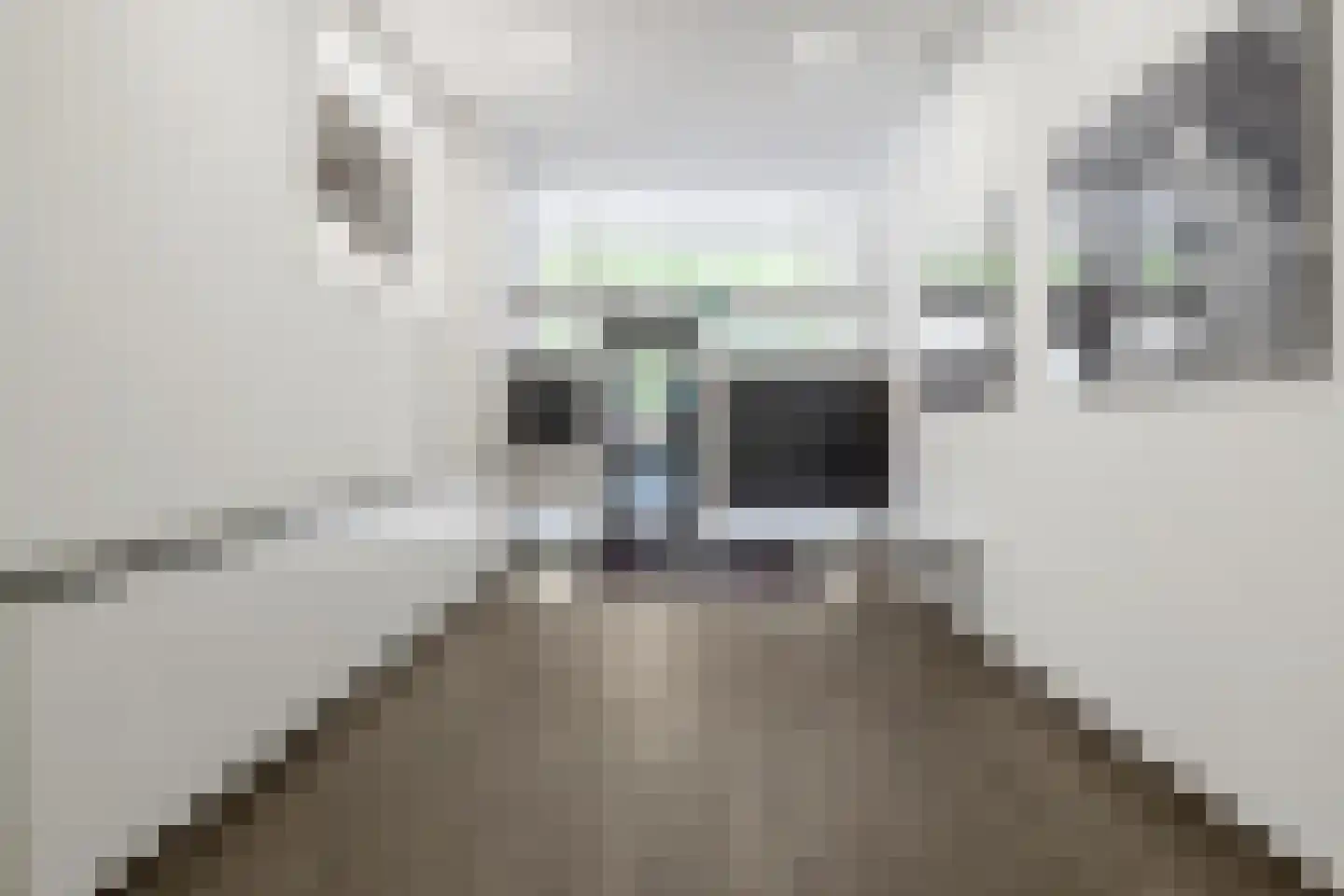 Mariniersweg 93 Rotterdam thumbnail 4