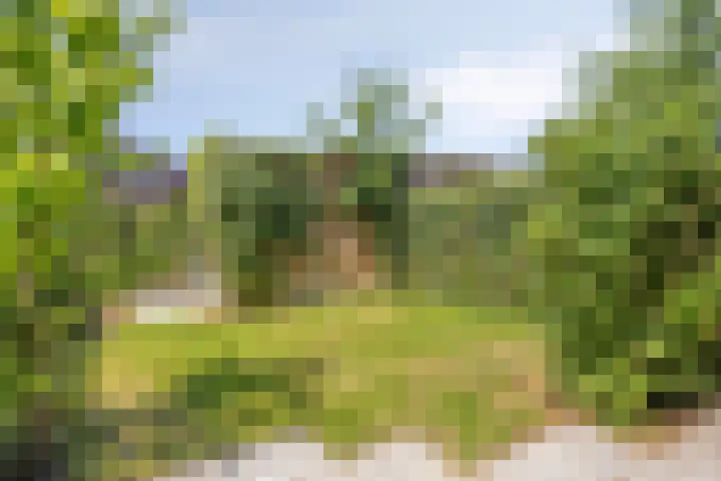 Mariniersweg 94 Oude-Tonge thumbnail 22