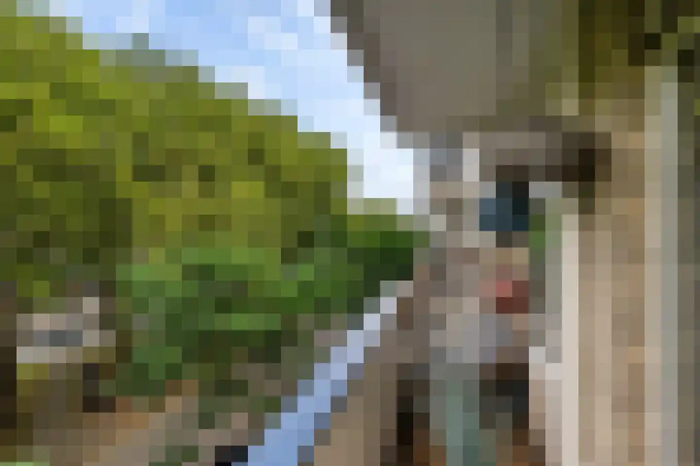 Mariniersweg 97 Rotterdam thumbnail 18