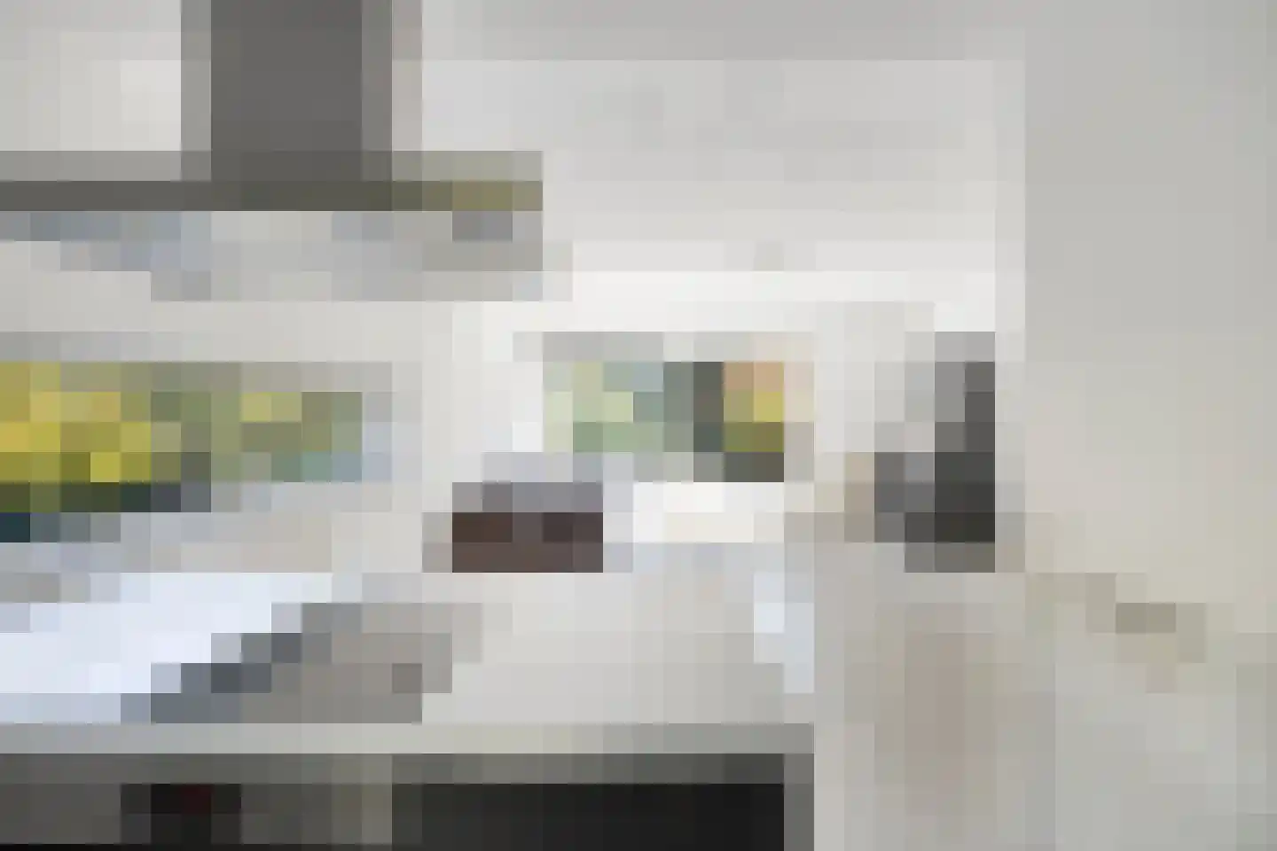 Marinus Batenburgplein 11 Rotterdam thumbnail 10