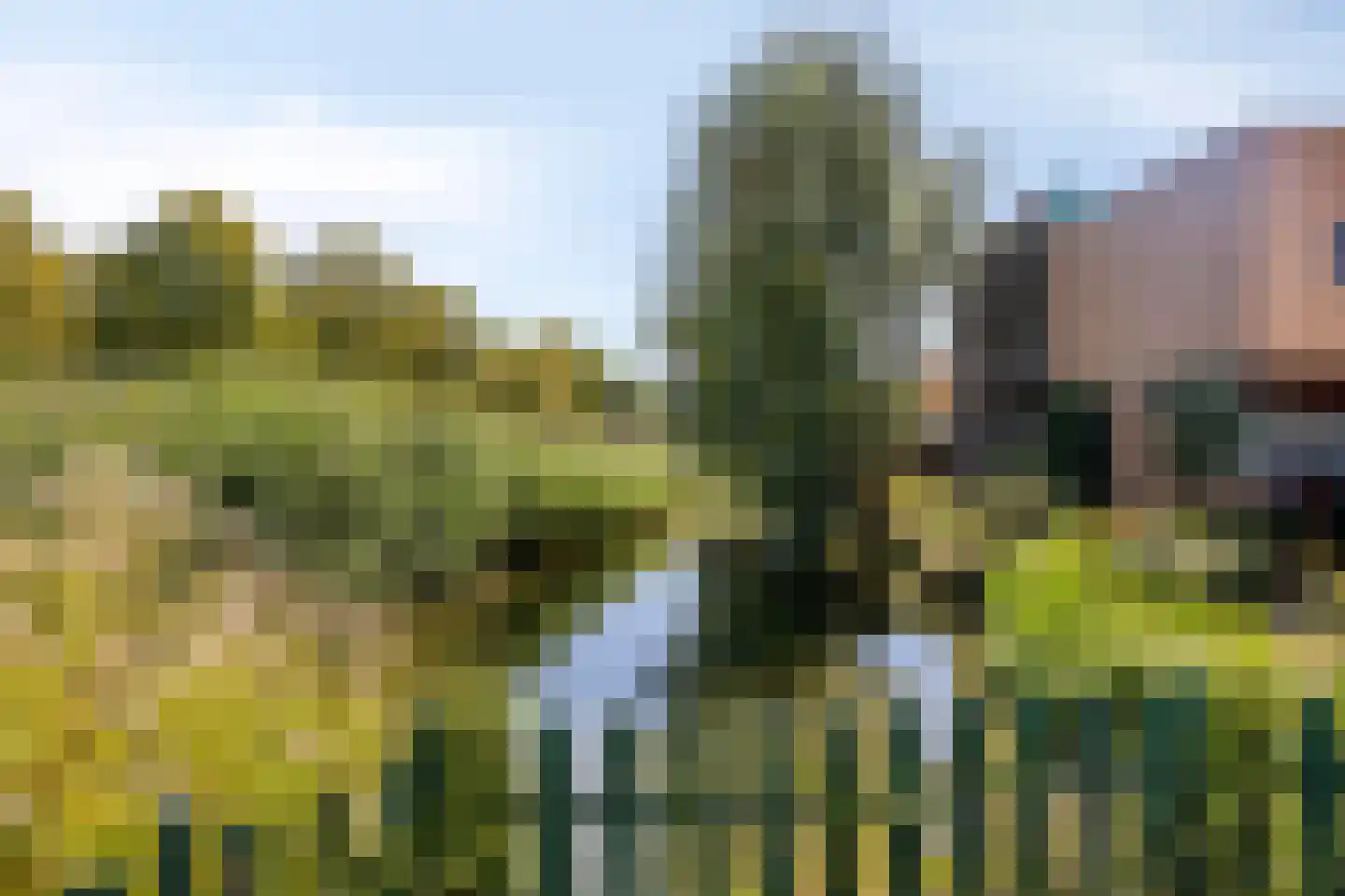 Marinus Batenburgplein 11 Rotterdam thumbnail 30