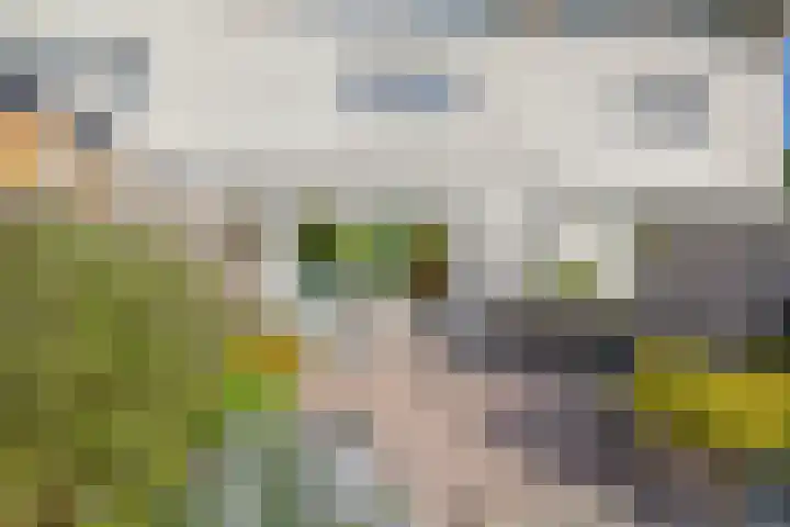 Marinus Batenburgplein 12 Rotterdam thumbnail 41
