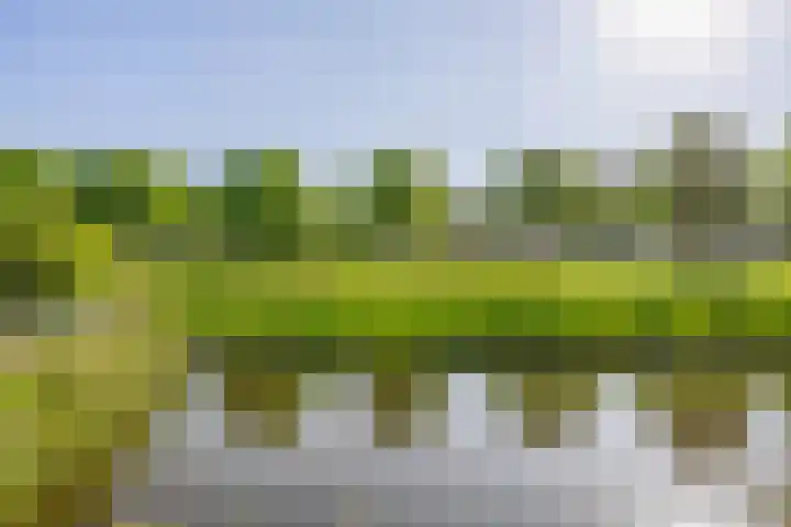 Marinus Batenburgplein 12 Rotterdam thumbnail 43