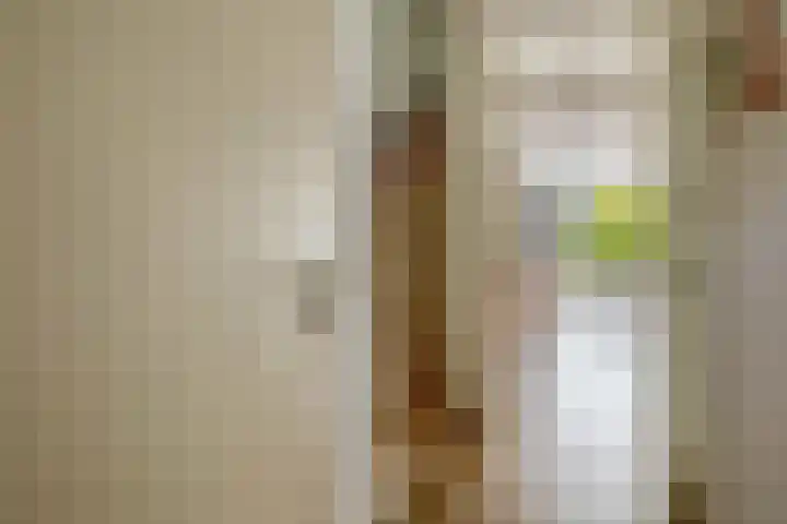 Marinus Batenburgplein 12 Rotterdam thumbnail 9
