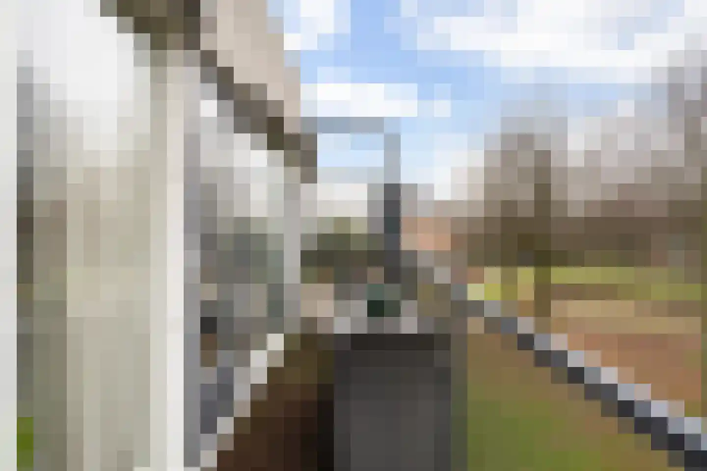 Marinus Batenburgplein 42 Rotterdam thumbnail 41