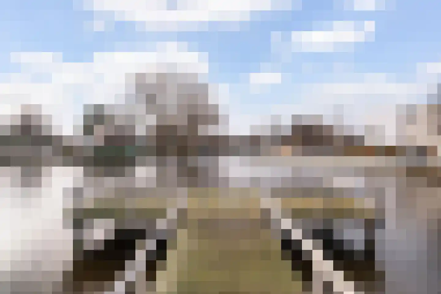 Marinus Batenburgplein 42 Rotterdam thumbnail 47