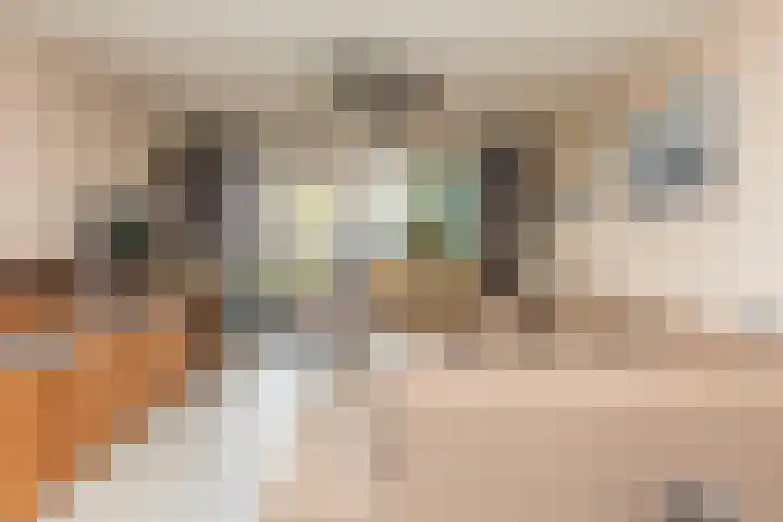 Marinus Batenburgplein 52 Rotterdam thumbnail 7