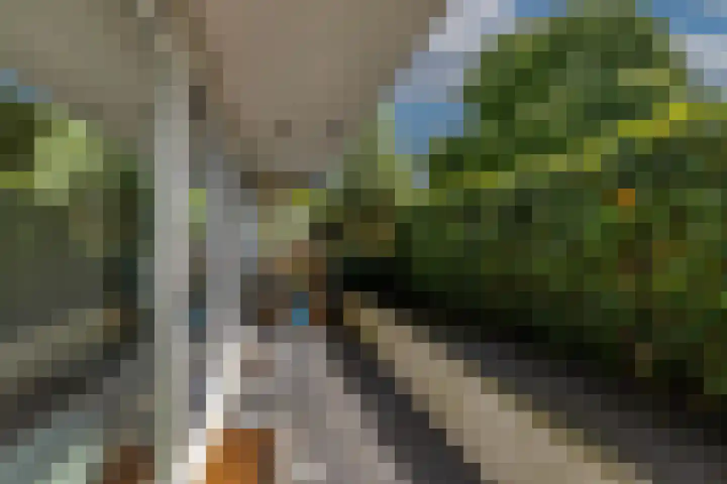 Marinus Batenburgplein 53 Rotterdam thumbnail 27