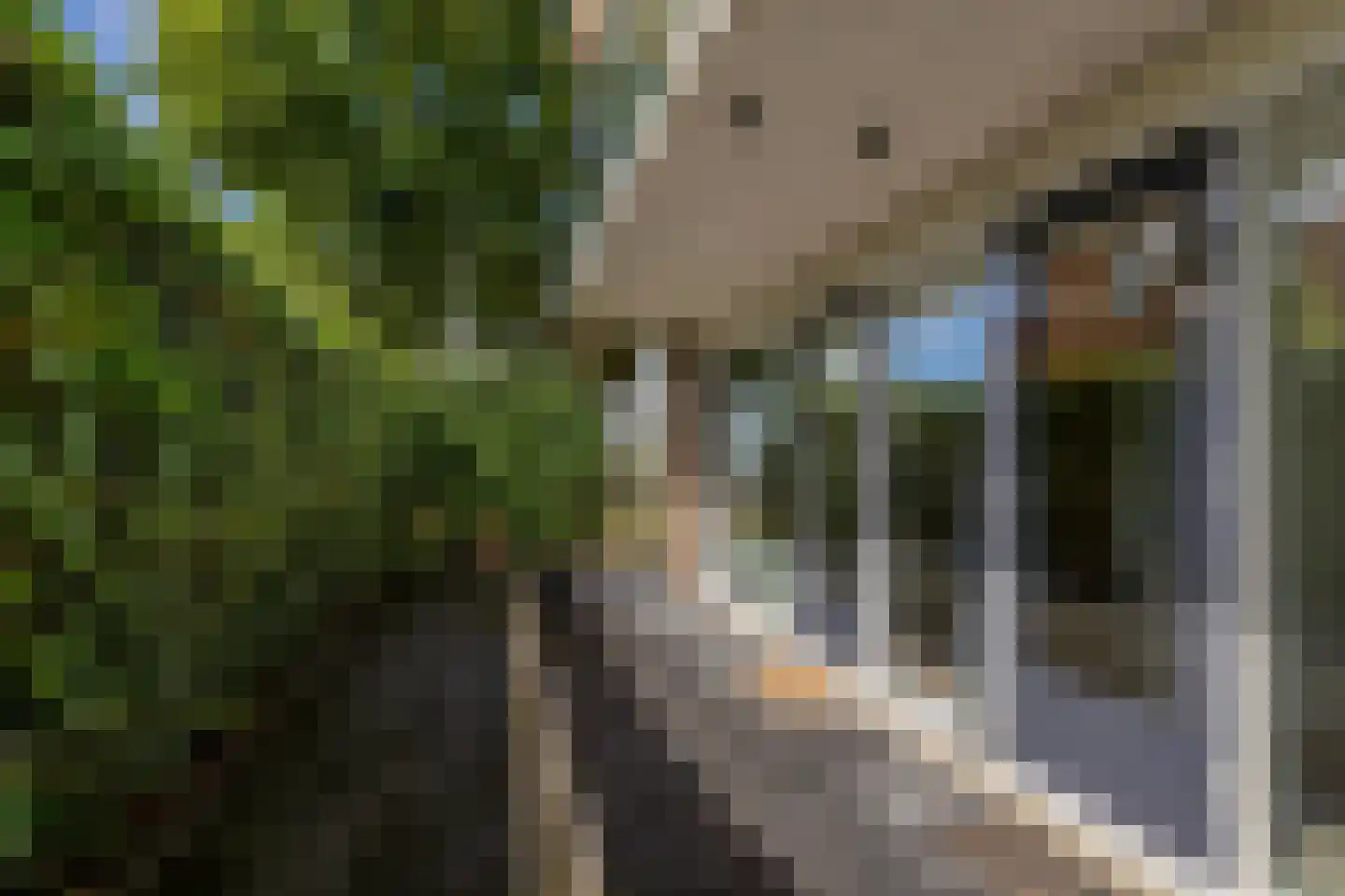 Marinus Batenburgplein 53 Rotterdam thumbnail 29
