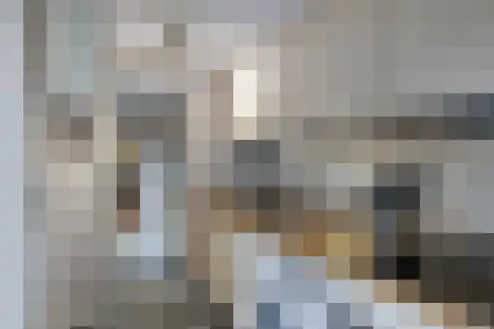 Marinus de Jongstraat 16 Oosterhout thumbnail 10