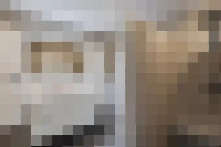 Marinus de Jongstraat 16 Oosterhout thumbnail 16
