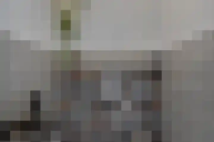 Marinus de Jongstraat 16 Oosterhout thumbnail 21