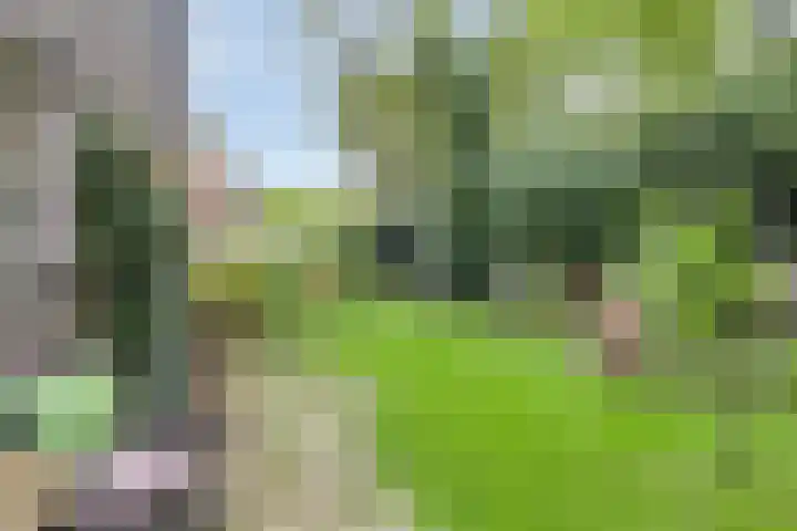 Marinus de Jongstraat 16 Oosterhout thumbnail 31