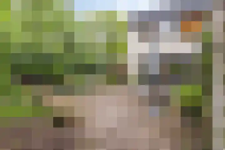 Marinus de Jongstraat 16 Oosterhout thumbnail 32