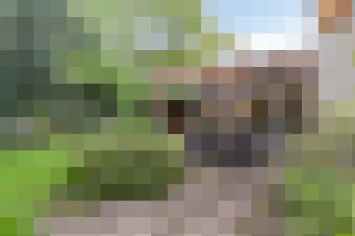 Marinus de Jongstraat 16 Oosterhout thumbnail 33