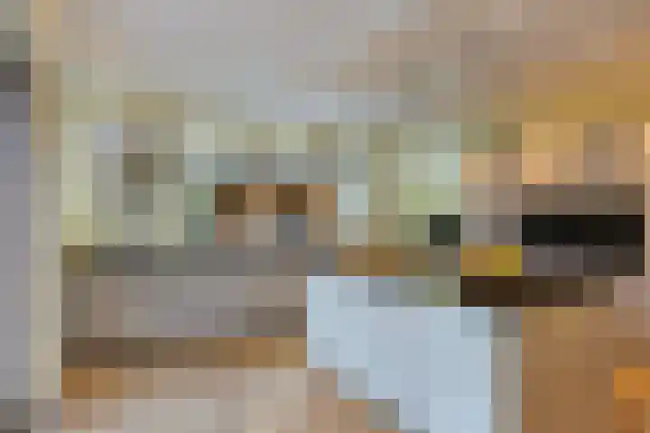 Marinus de Jongstraat 16 Oosterhout thumbnail 6