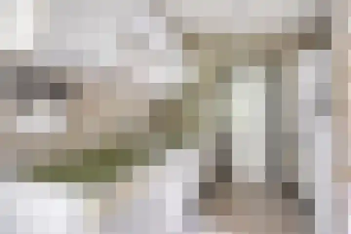Marinus de Jongstraat 18 Oosterhout thumbnail 11