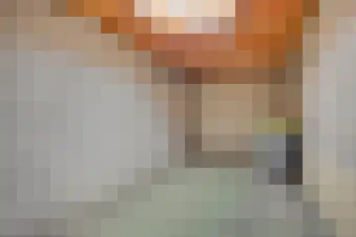 Marinus de Jongstraat 18 Oosterhout thumbnail 32