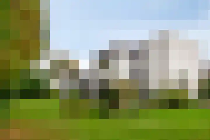 Marinus de Jongstraat 18 Oosterhout thumbnail 39