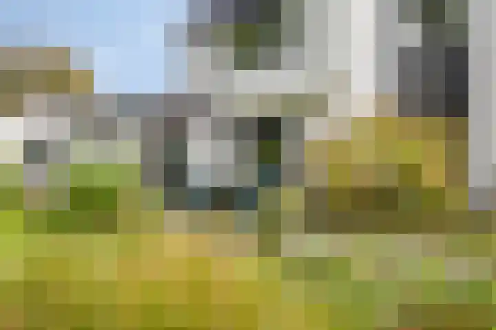 Marinus de Jongstraat 18 Oosterhout thumbnail 42