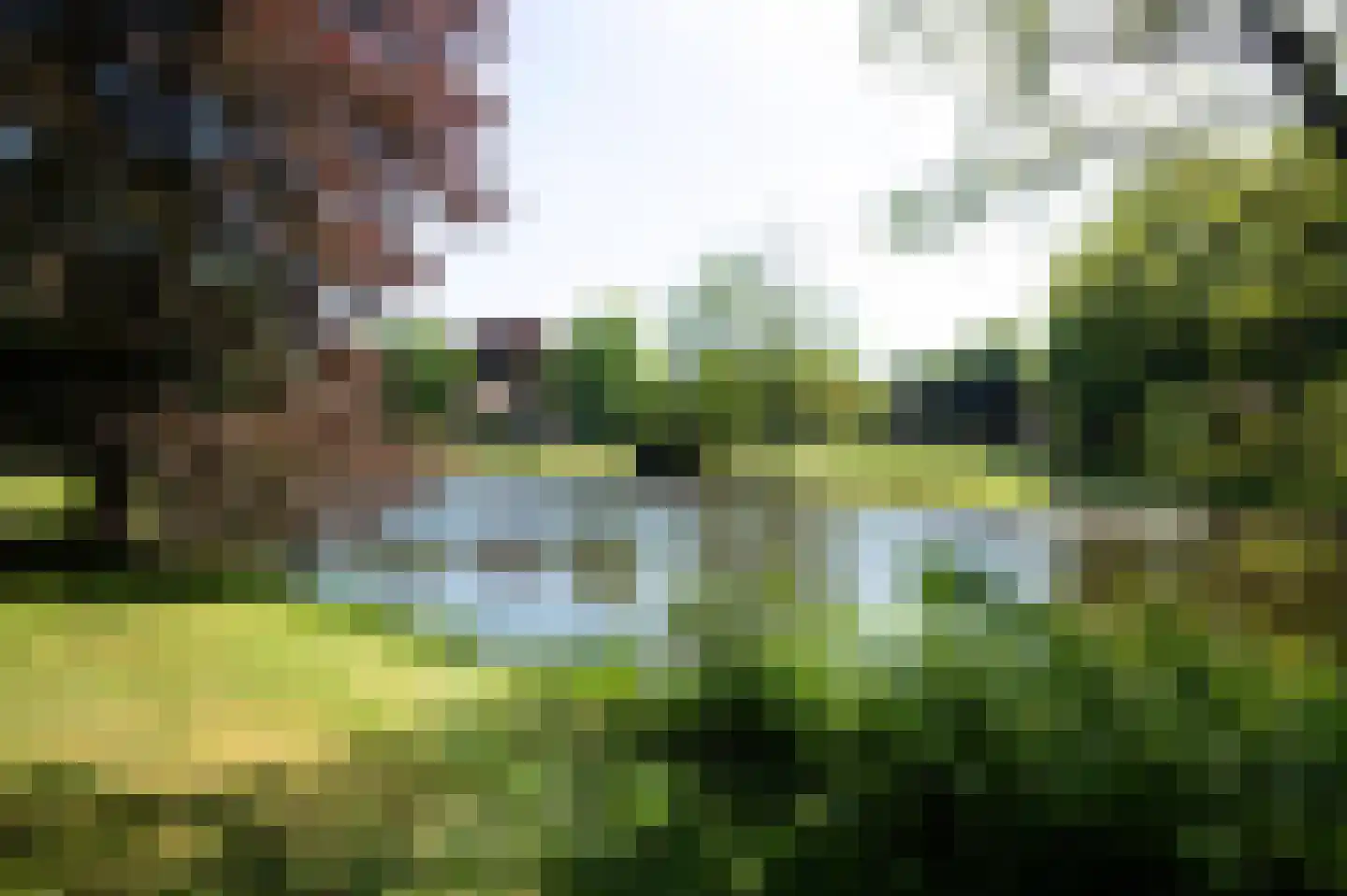 Marinus Naefflaan 2 Lochem thumbnail 11
