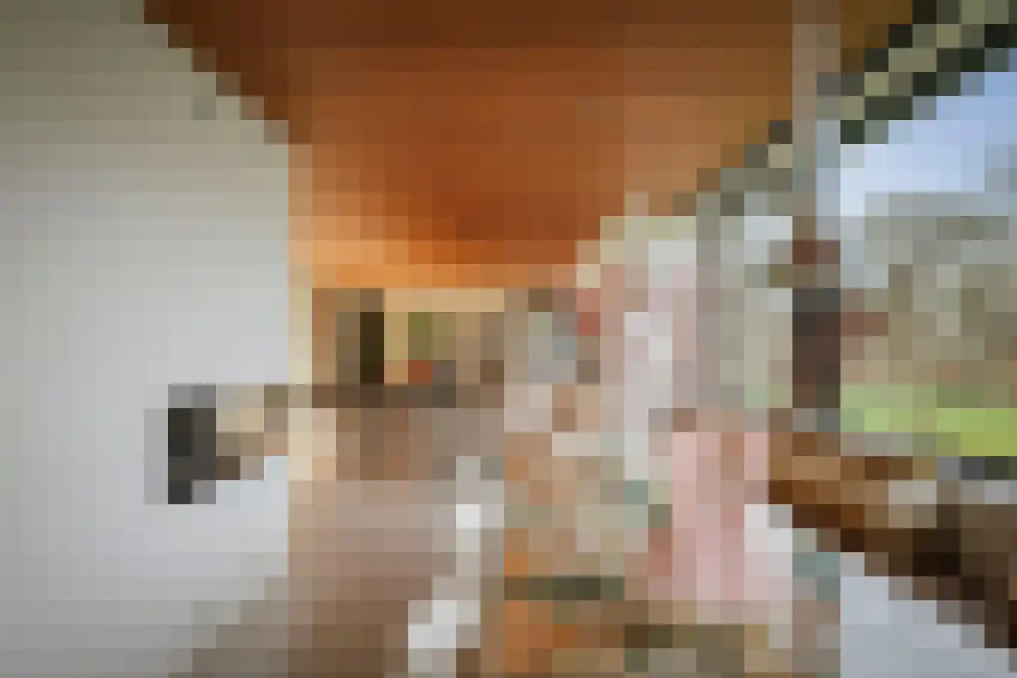Marinus Naefflaan 2 Lochem thumbnail 22