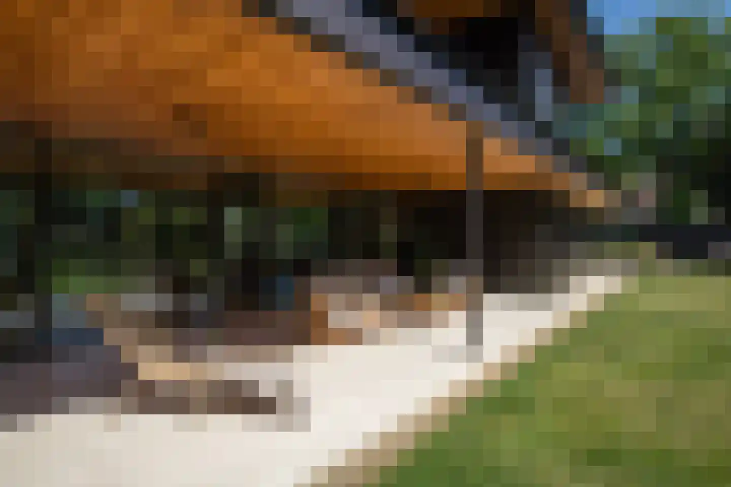 Marinus Naefflaan 2 Lochem thumbnail 4