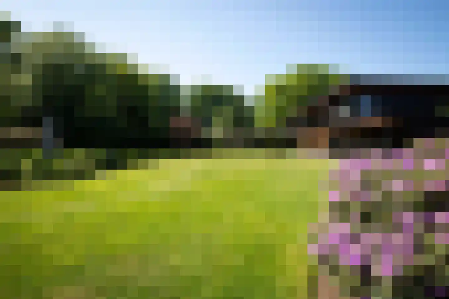 Marinus Naefflaan 2 Lochem thumbnail 56