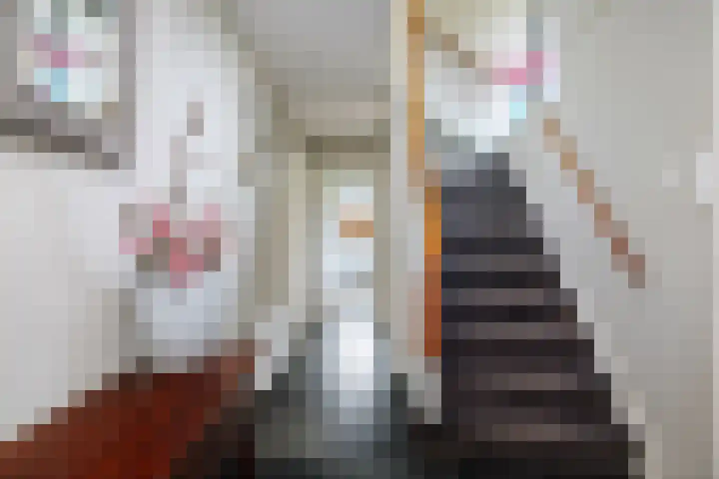 Marinus Naefflaan 7 Lochem thumbnail 20