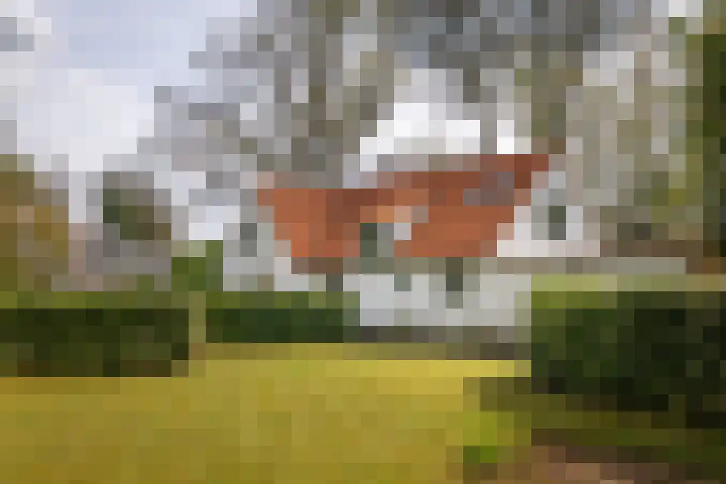 Marinus Naefflaan 7 Lochem thumbnail 30