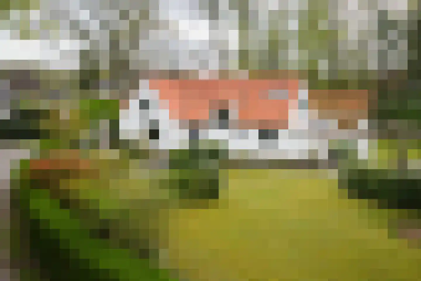 Marinus Naefflaan 7 Lochem thumbnail 31