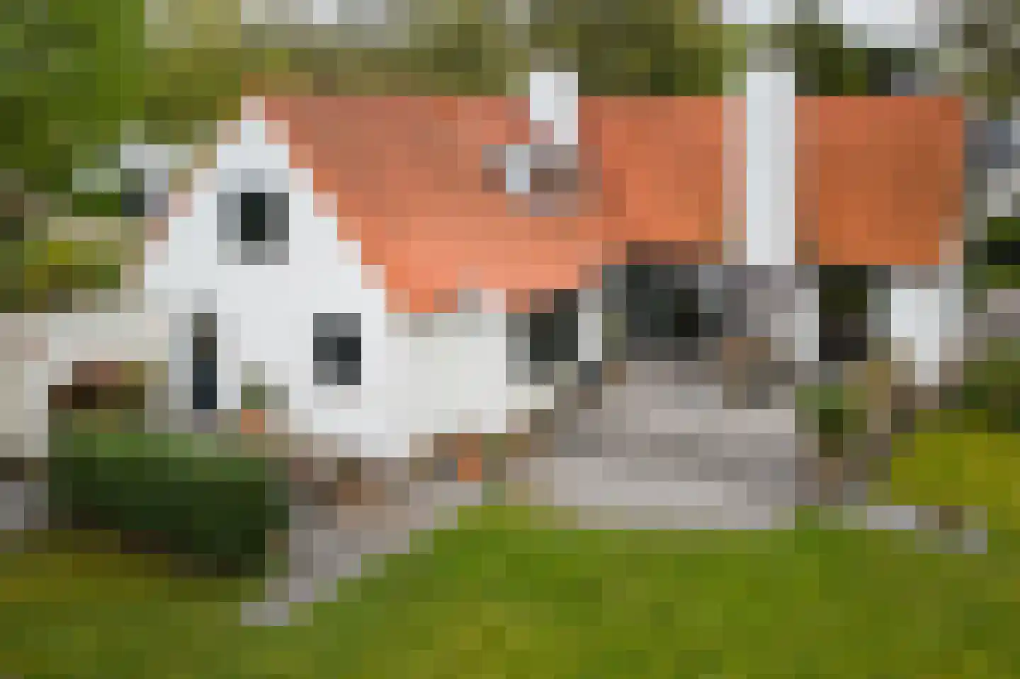 Marinus Naefflaan 7 Lochem thumbnail 32