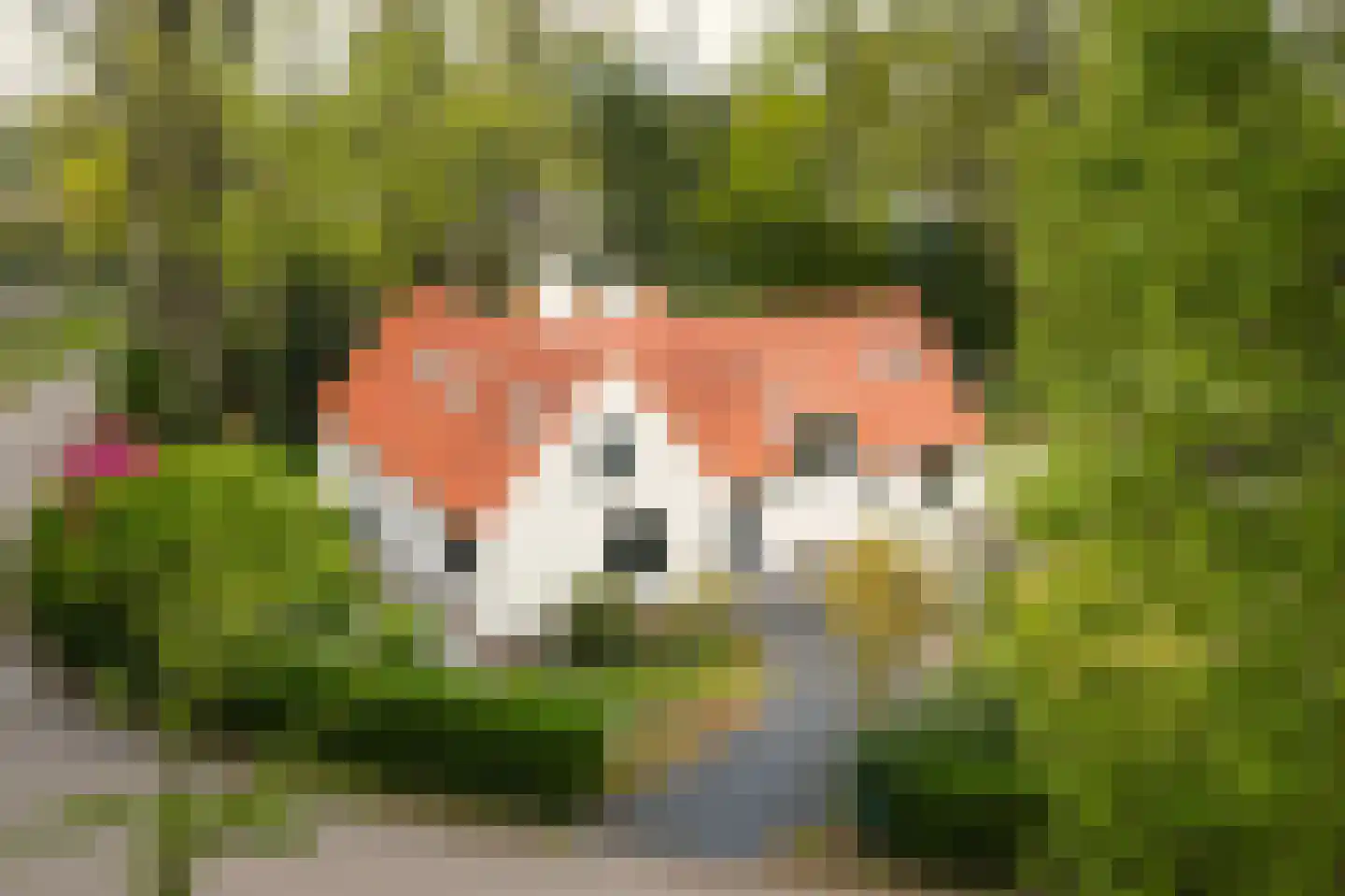 Marinus Naefflaan 7 Lochem thumbnail 37