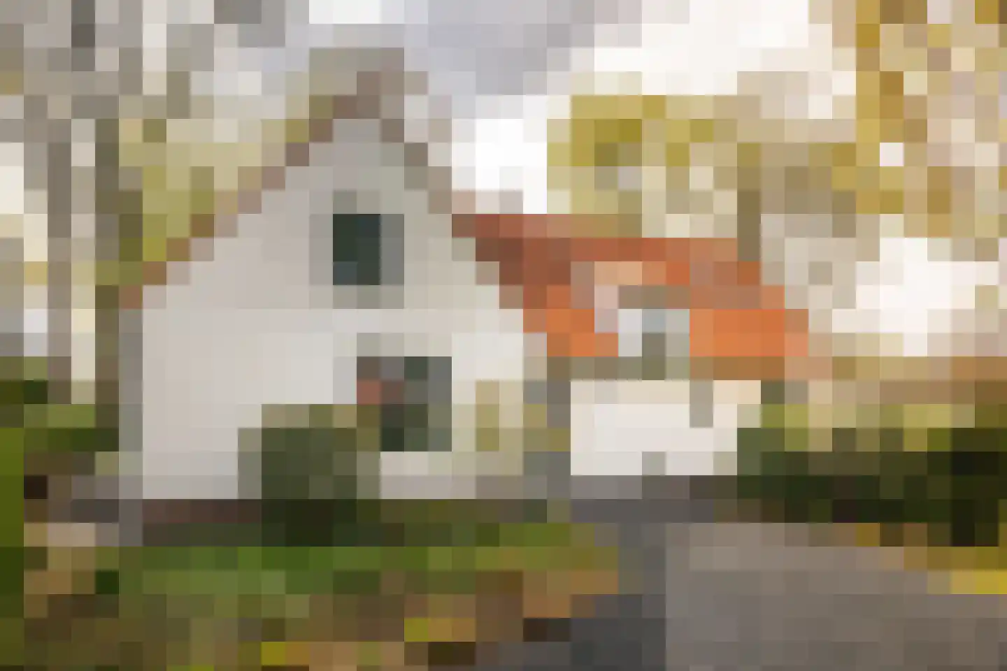 Marinus Naefflaan 7 Lochem thumbnail 38