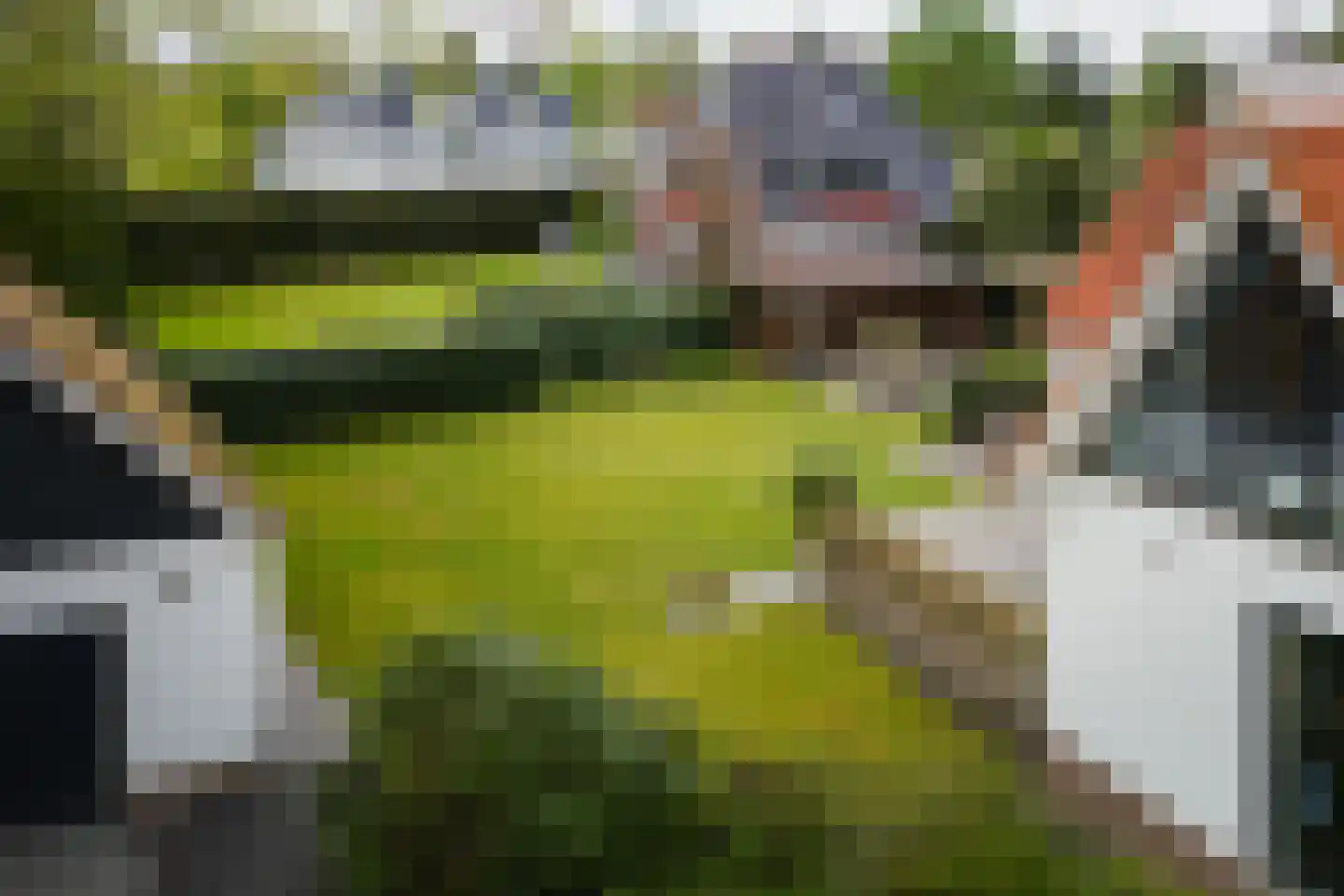Marinus Naefflaan 7 Lochem thumbnail 45
