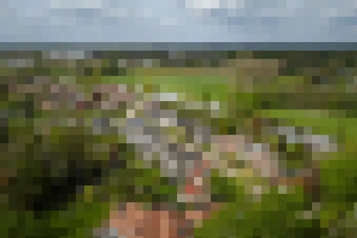 Marinus Naefflaan 7 Lochem thumbnail 53