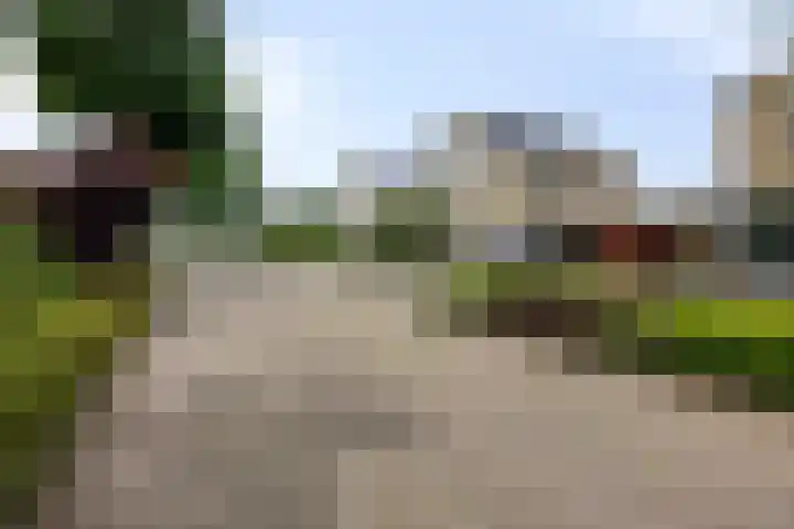 Marinus Postlaan 34 Kampen thumbnail 10