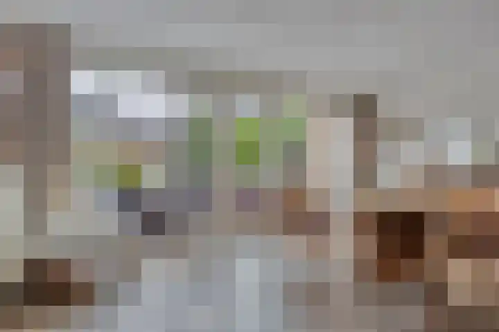Marinus Postlaan 34 Kampen thumbnail 18