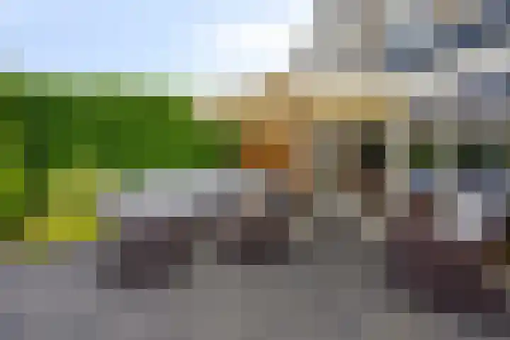 Marinus Postlaan 34 Kampen thumbnail 33