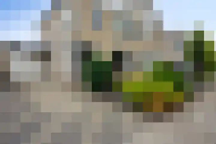 Marinus Postlaan 34 Kampen thumbnail 8