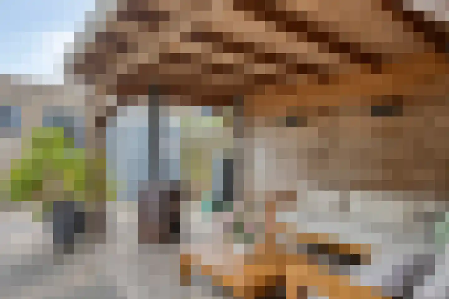 Marinus Postlaan 81 Kampen thumbnail 48