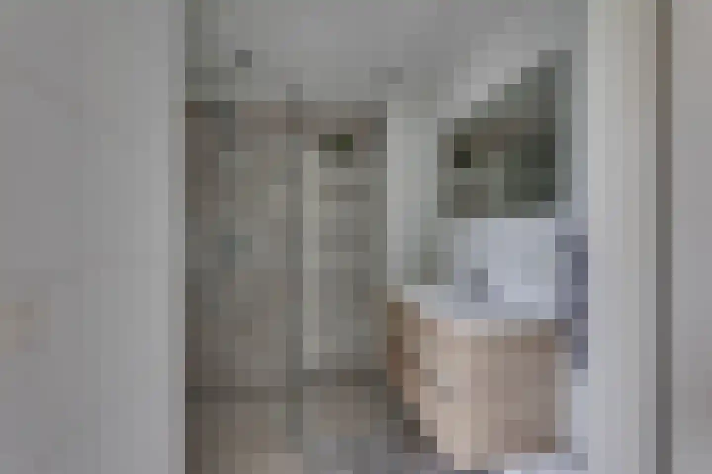 Marinus Postlaan 91 Kampen thumbnail 4